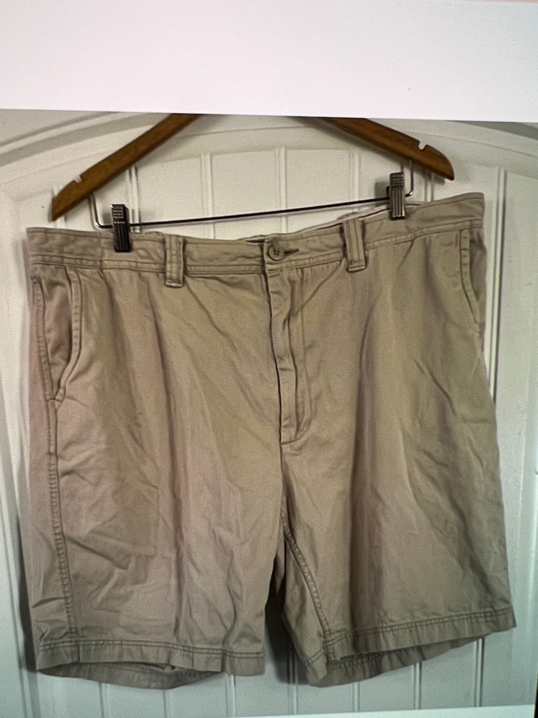 St Johns Bay Shorts